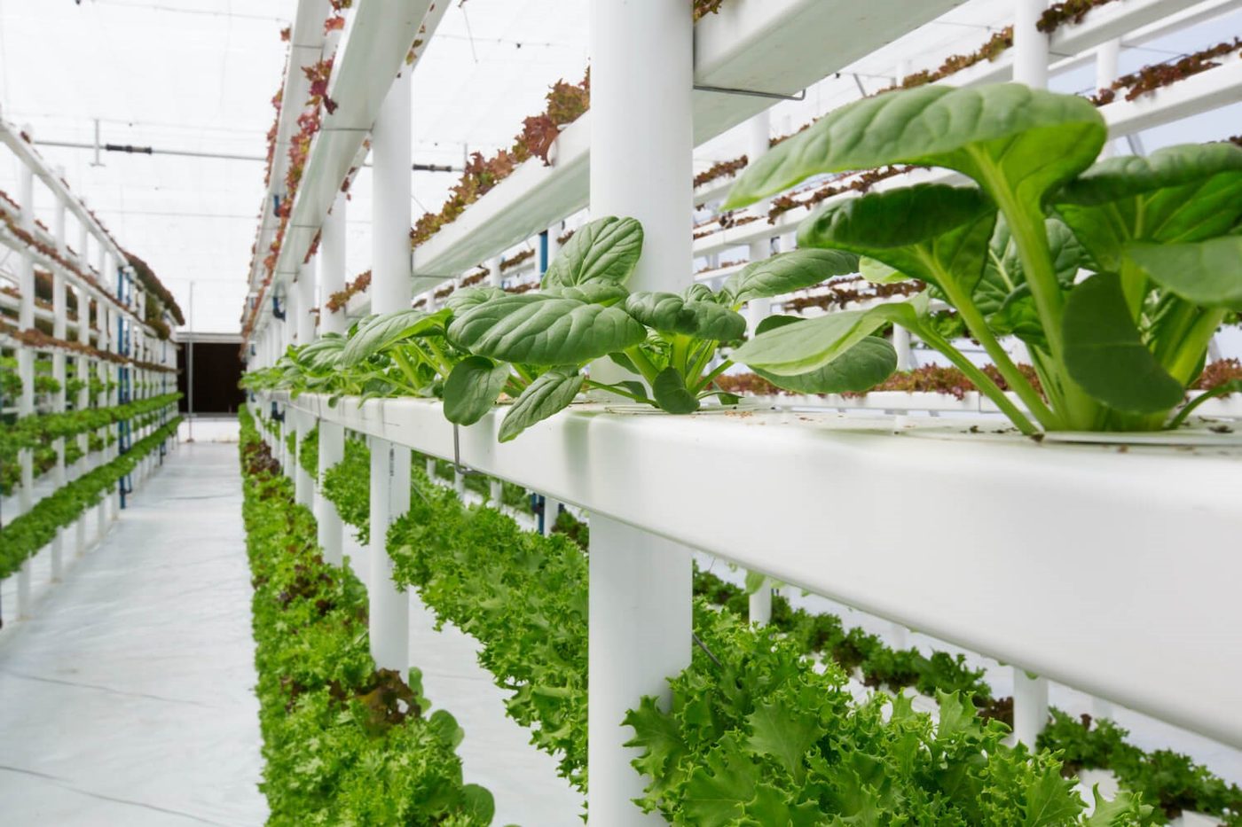 Hydroponic horticulture production